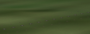 clbi_gulli-spline_pw_50