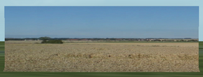panorama2_50